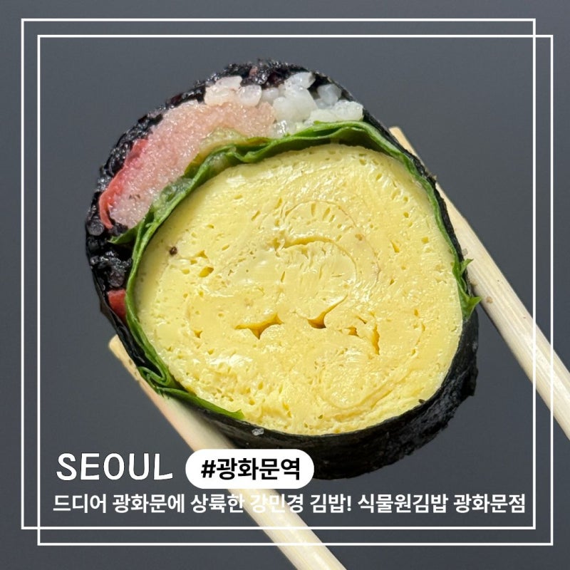 식물원김밥 광화문점 강민경 김밥 명란계란김밥 광화문 점심 후기
