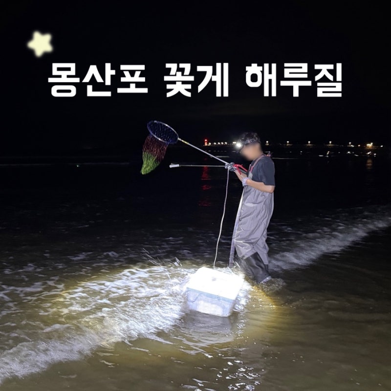 泰安夢山浦海水浴場ワタリガニ干潟レビュー：8月の潮時、駐車場、実際の視界、初心者準備物ヒント！