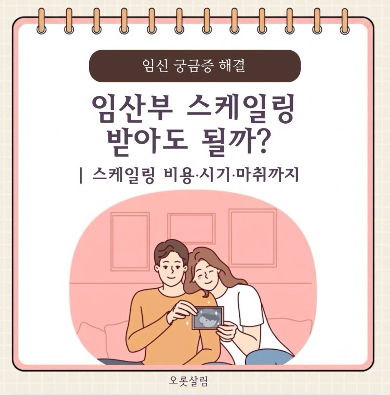 임산부 스케일링, 임신 중 치과 가도 될까? 비용·시기·마취까지 확인해봤어요