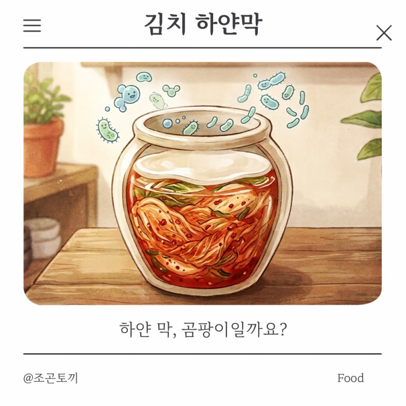 김치 하얀막 _ 하얀 막, 곰팡이일까요?