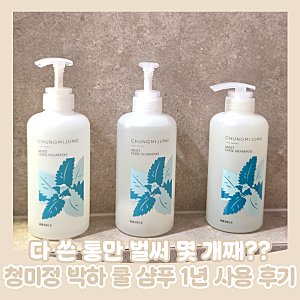 임산부도 쿨샴푸를 쓸 수 있다고? 청미정 박하 쿨 샴푸 1년 사용후기