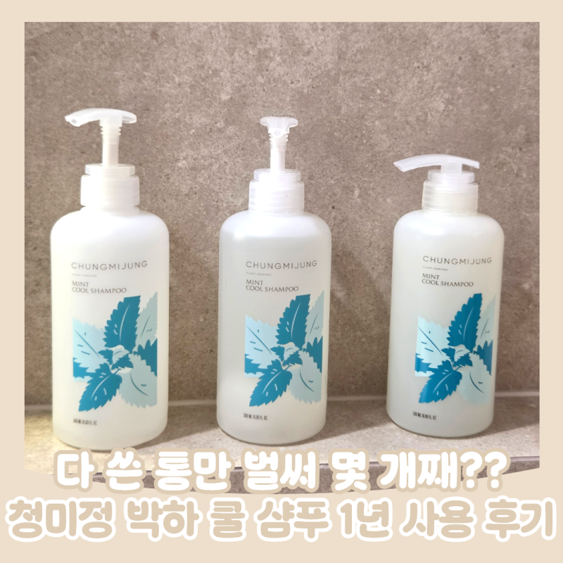 임산부도 쿨샴푸를 쓸 수 있다고? 청미정 박하 쿨 샴푸 1년 사용후기