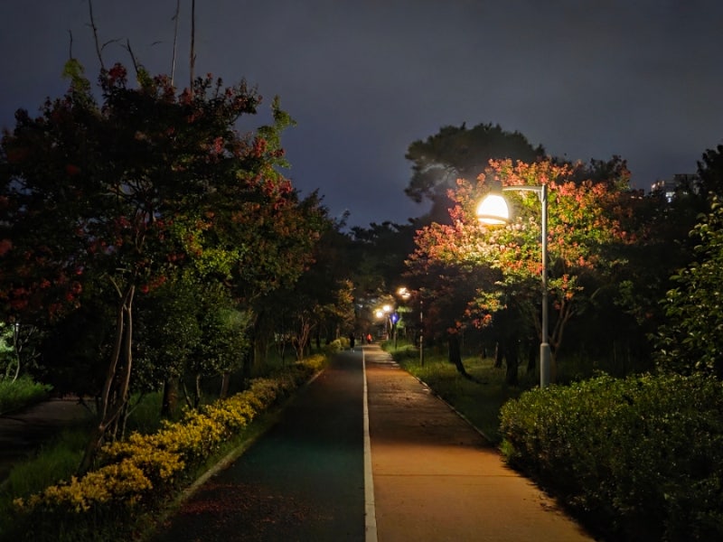 광주 밤 산책하기 좋은 곳, 수완호수공원 야경 산책