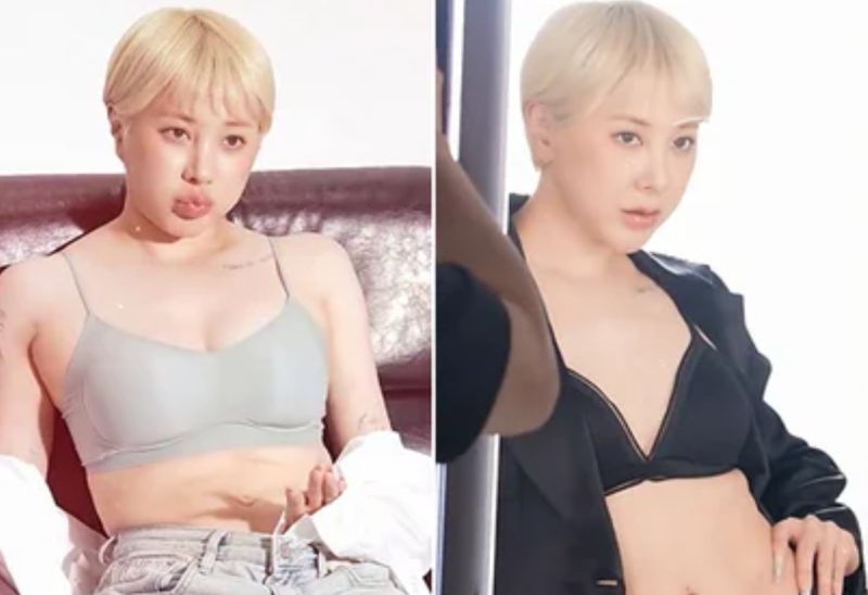 "14kg 감량 성공하더니 마침내 일냈다!"… 서인영, 십몇 년 만에 속옷 브랜드 모델 전격 발탁 ....
