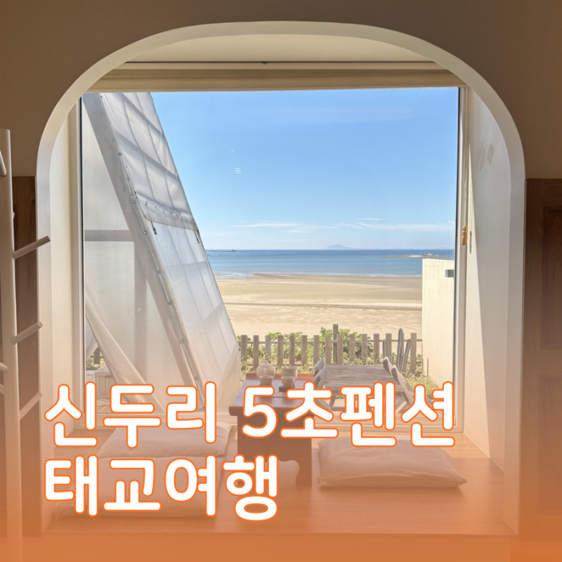 임산부 태교여행으로 다녀온 태안 신두리 5초펜션 후기 (+챙겨가면 좋은 준비물)
