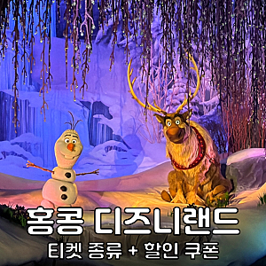 홍콩 디즈니랜드 티켓 가격 입장권 DPA 클룩 할인 코드