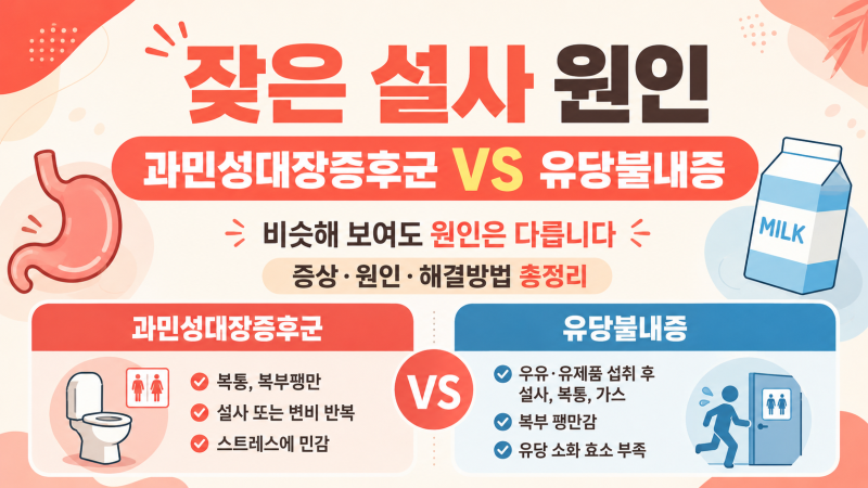 잦은 설사 원인 과민성대장증후군일까 유당불내증일까? 증상 차이와 해결방법 총정리