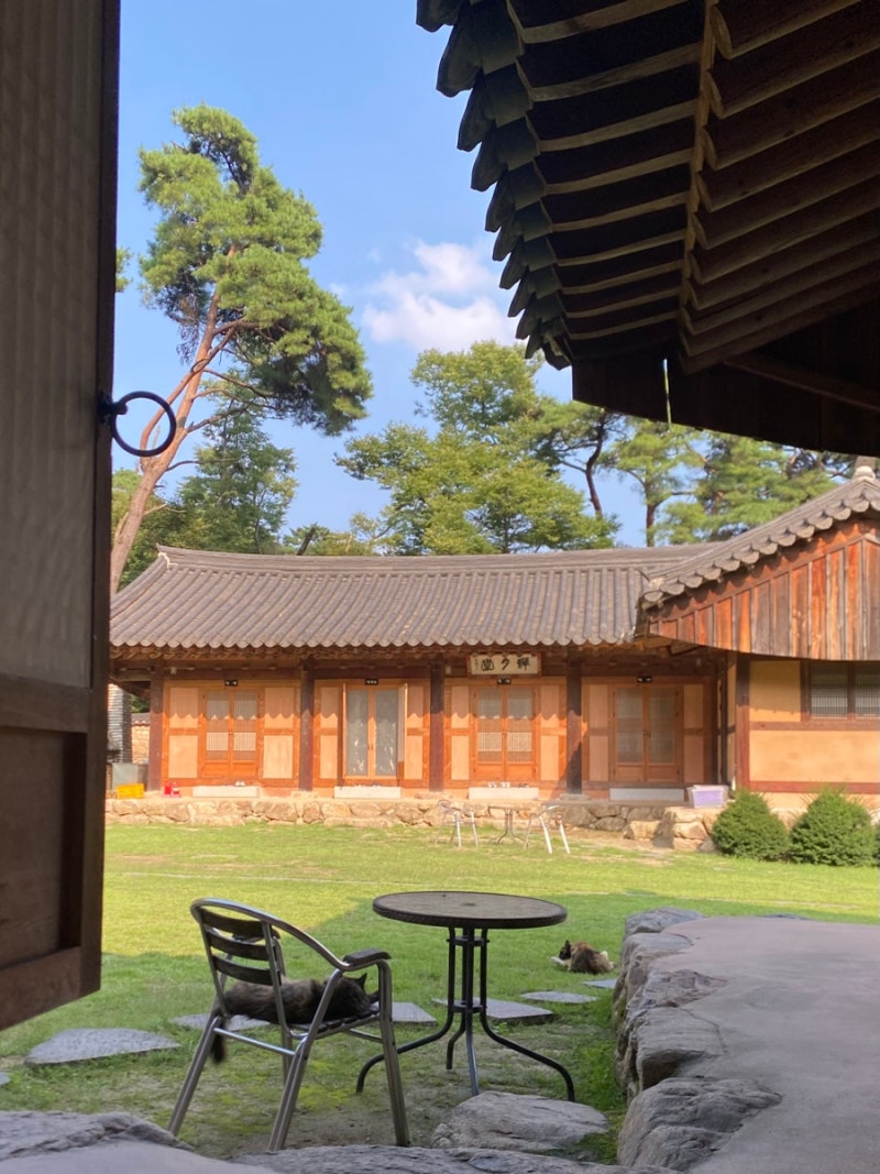 楊平龍門寺｜有可愛貓咪的龍門寺寺院寄宿