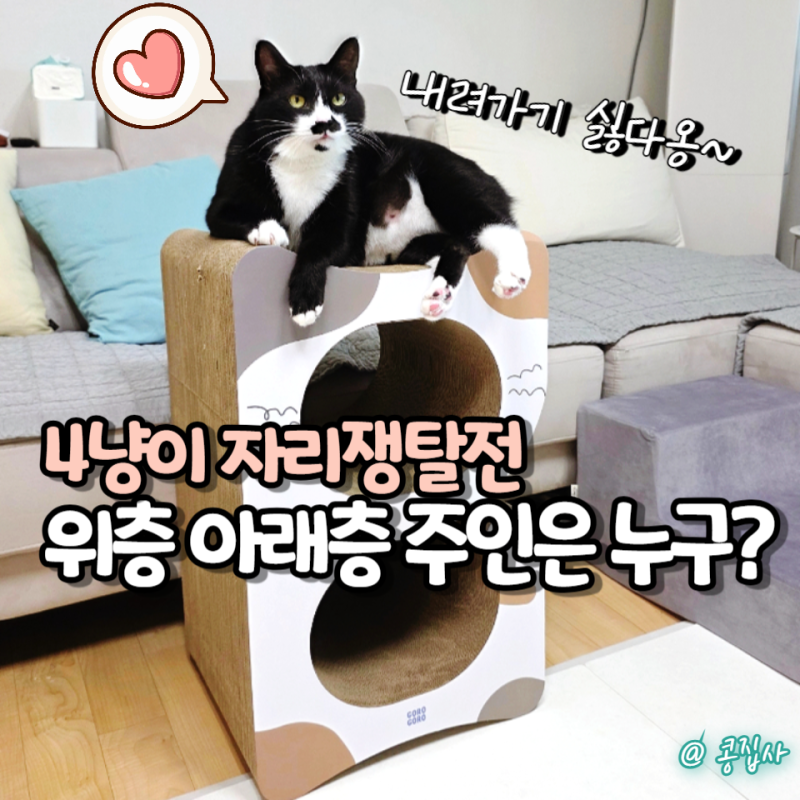 고양이 숨숨집 스크래쳐 추천, 고로고로 내팔자야 삼색이 사용 후기