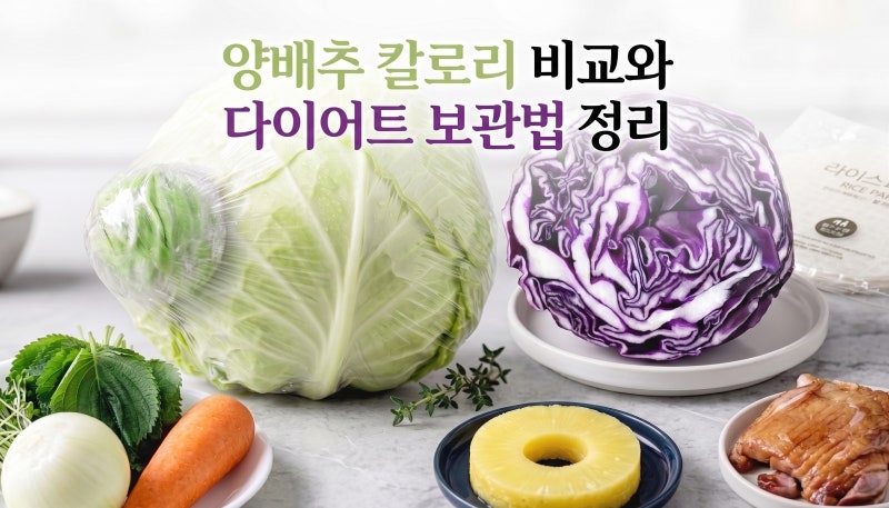 양배추 삶은거 칼로리 비교 생양배추 다이어트 보관법 정리