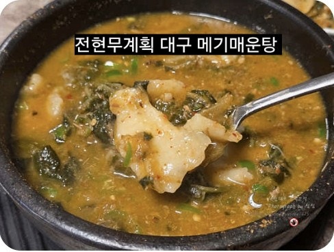 "잔뼈 없고 국물이 구수하다..".. 전현무계획4 이찬원 대구 메기매운탕 맛집, 미지촌어탕 위치....