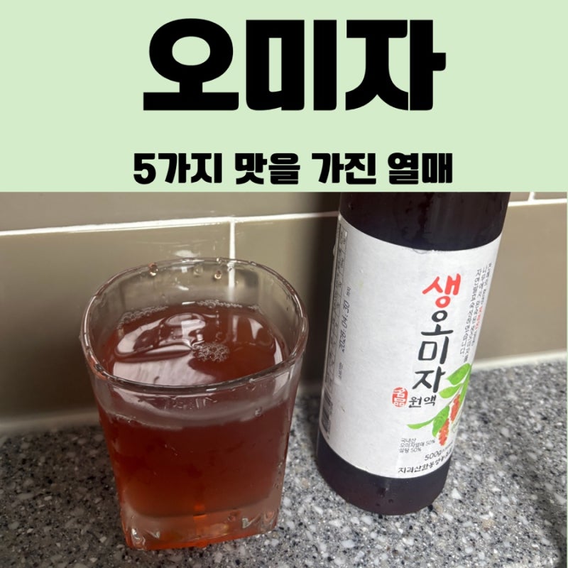 오미자의 5가지 맛을 가진 열매 | 효능·먹는법·보관법