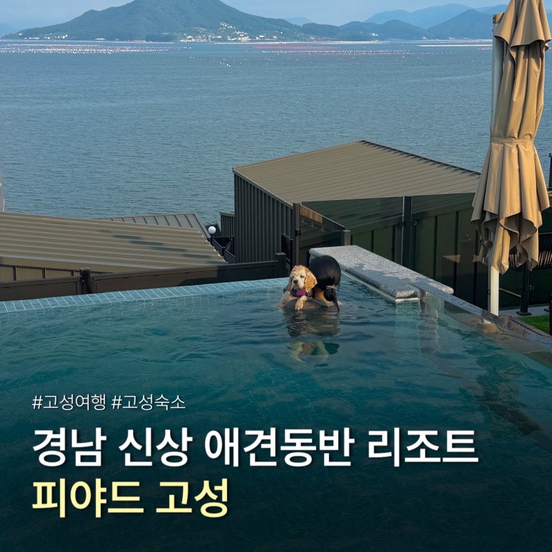 Recommended Pension in Goseong, Gyeongnam: Piyard, a Pet-Friendly Resort, Pool Villa, and Ocean View Accommodation