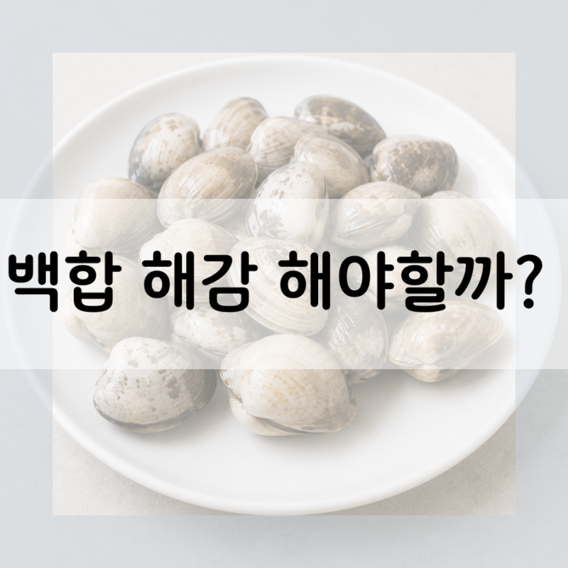 백합 해감의 필요성. 꼭 해야할까?