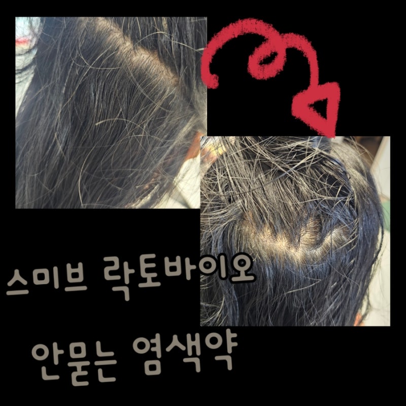 셀프 새치염색약 스미브 락토바이오 피부에 안묻는 염색약