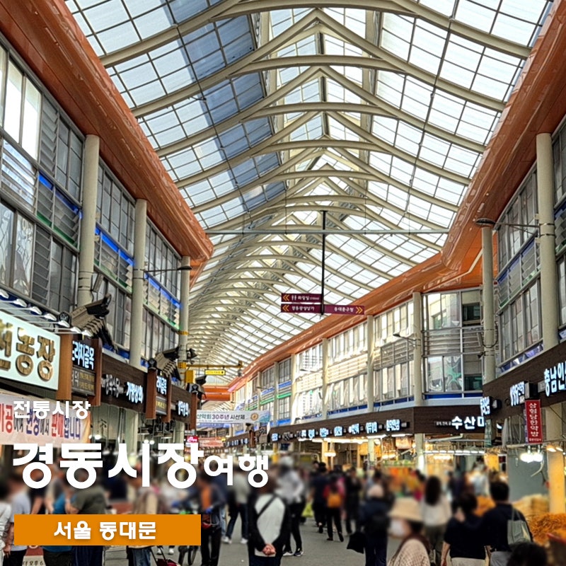 청량리역에서 시작하는 경동시장 청량리시장 당일치기 코스 먹거리 볼거리