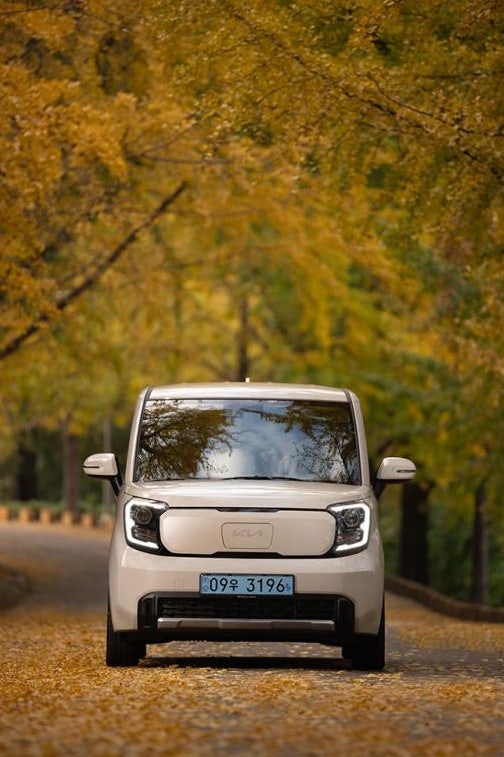 기아 레이 EV, 중고 시세 및 실구매가 총정리 (2027년형)