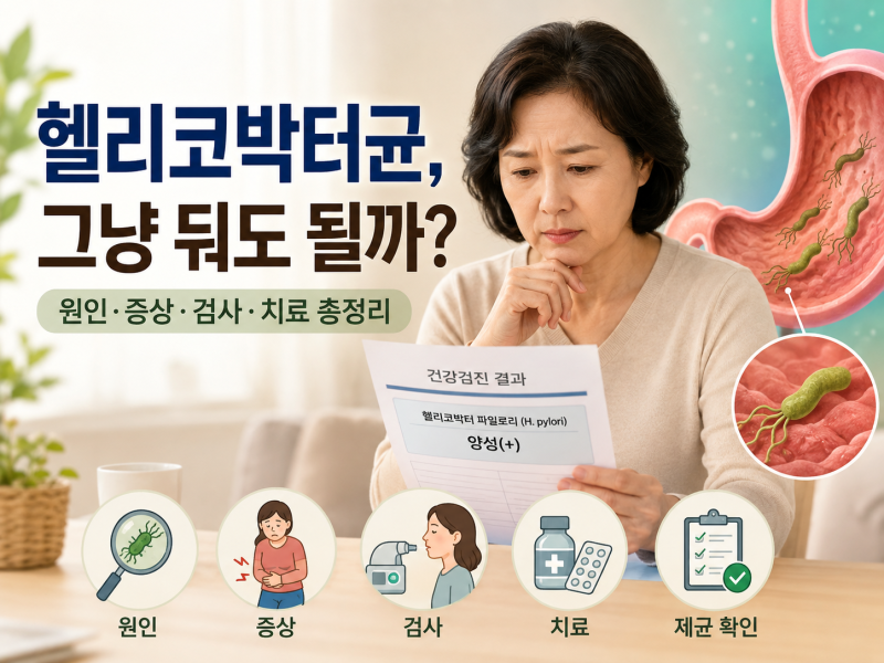 헬리코박터균, 증상 없어도 치료해야 할까? 원인·검사·치료 총정리