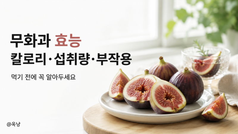 무화과 효능 뭐가 좋을까? 칼로리 하루 섭취량 부작용까지