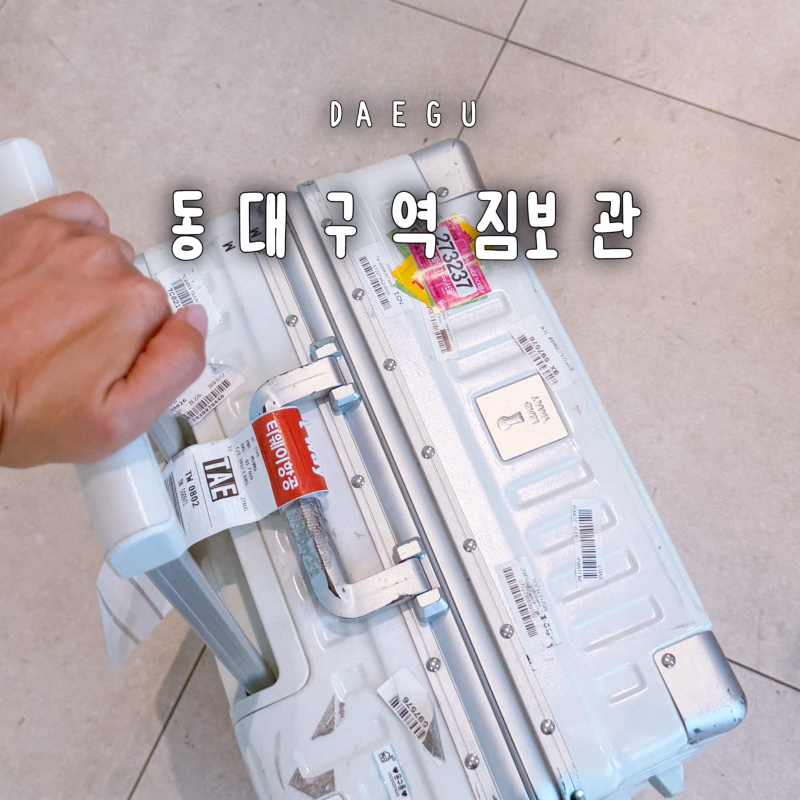 동대구역 캐리어 짐보관 대구 신세계백화점 물품보관함 가격 시간 위치 대구 당일치기 여행