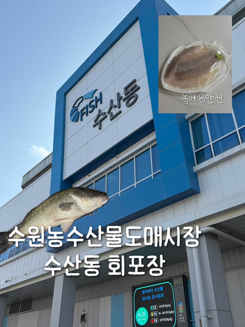 수원 농수산물도매시장 수산물 구매 후기,회 포장 대하 가격 주차