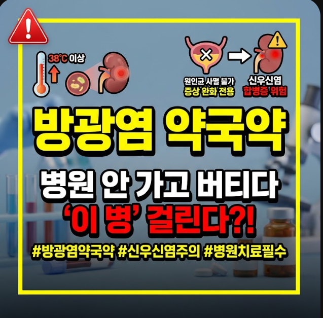 방광염 약국약 종류와 효과, 병원 처방 항생제와의 차이점 총정리