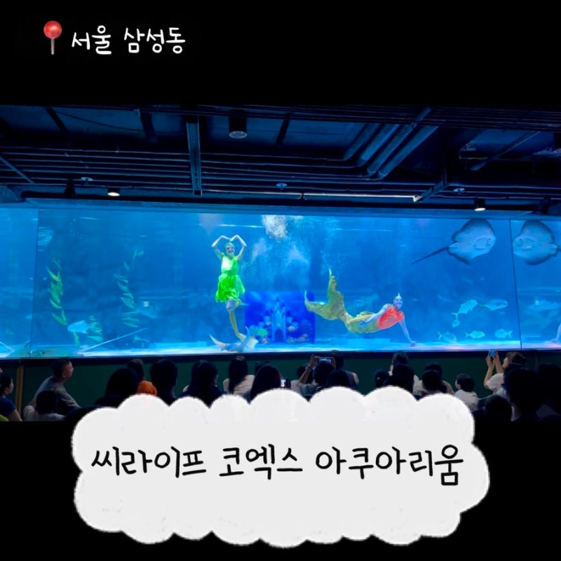 코엑스 아쿠아리움 할인부터 인어공주 쇼 명당, 주차 꿀팁까지 총정리