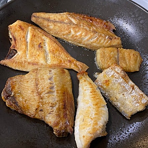 속초고속터미널 근처 생선구이 맛집｜속초생생구이 (내돈내산)