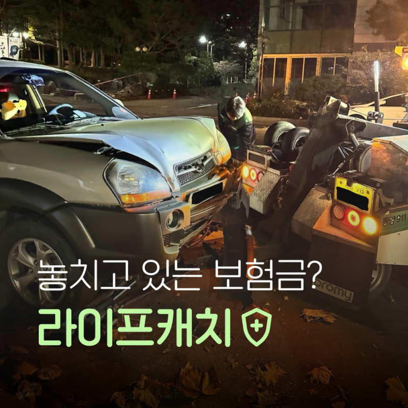 차 사고 4번 겪고 알게 된 자동차 사고 보험금, 라이프캐치로 놓친 보험금 확인해본 후기