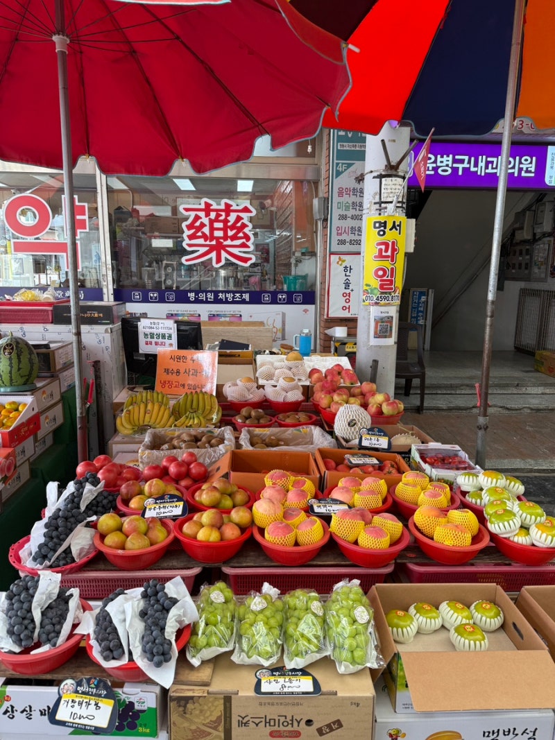 농할상품권 사용처 조회 방법, 앱 3개만 알면 헷갈릴 일 없어요