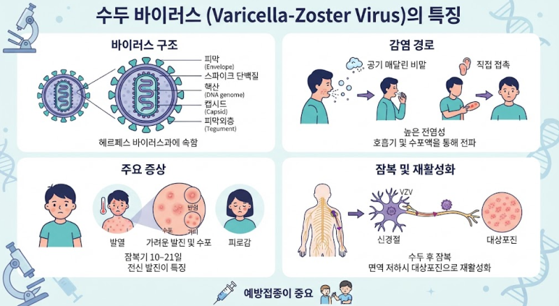 수두 초기증상 전염 기간 잠복기 격리 기간 완벽 정리