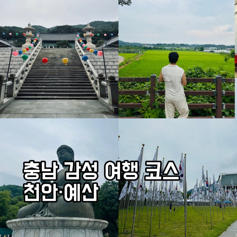 충남 당일치기 여행 코스｜천안 각원사·독립기념관에서 예산 삽교시장까지
