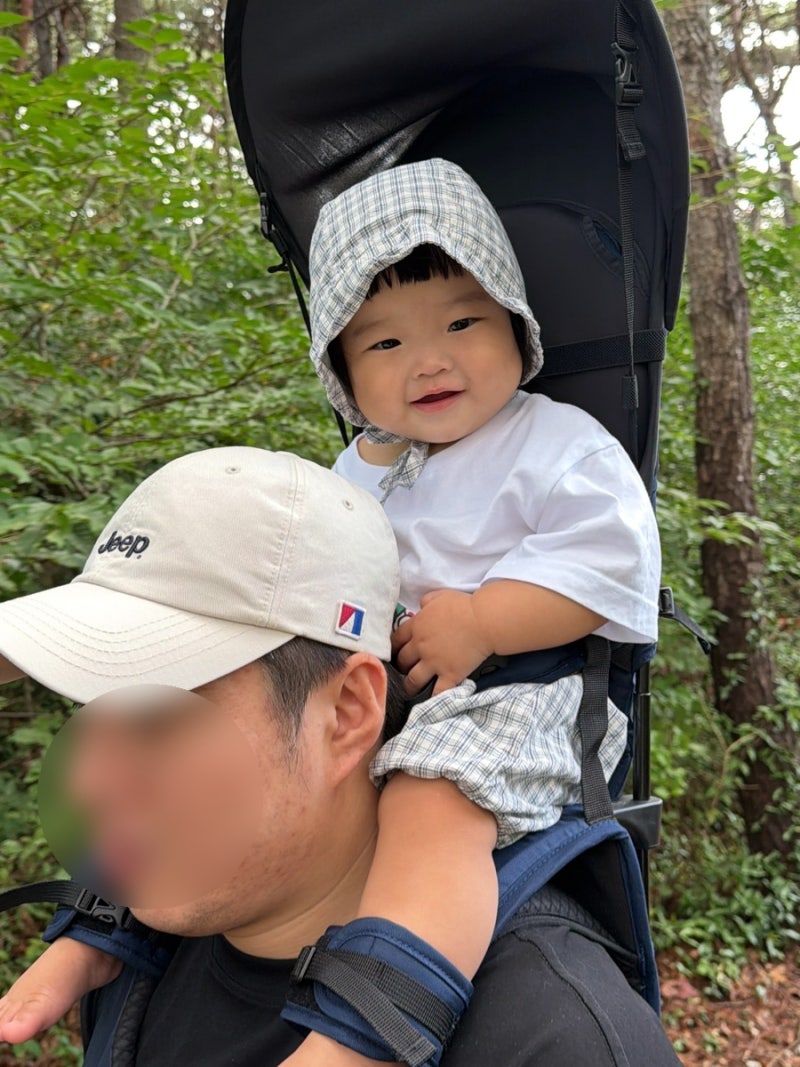 미니메이즈 아기등산캐리어 10개월 아기와 써본 목마캐리어