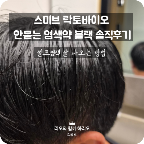 스미브 락토바이오 피부에 묻지않는 염색약 블랙 셀프염색잘하는법