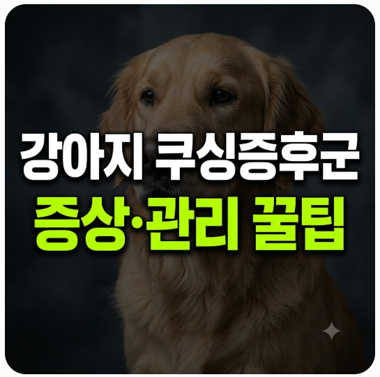 강아지 쿠싱증후군 초기 증상부터 식이요법·수명까지 완벽 가이드