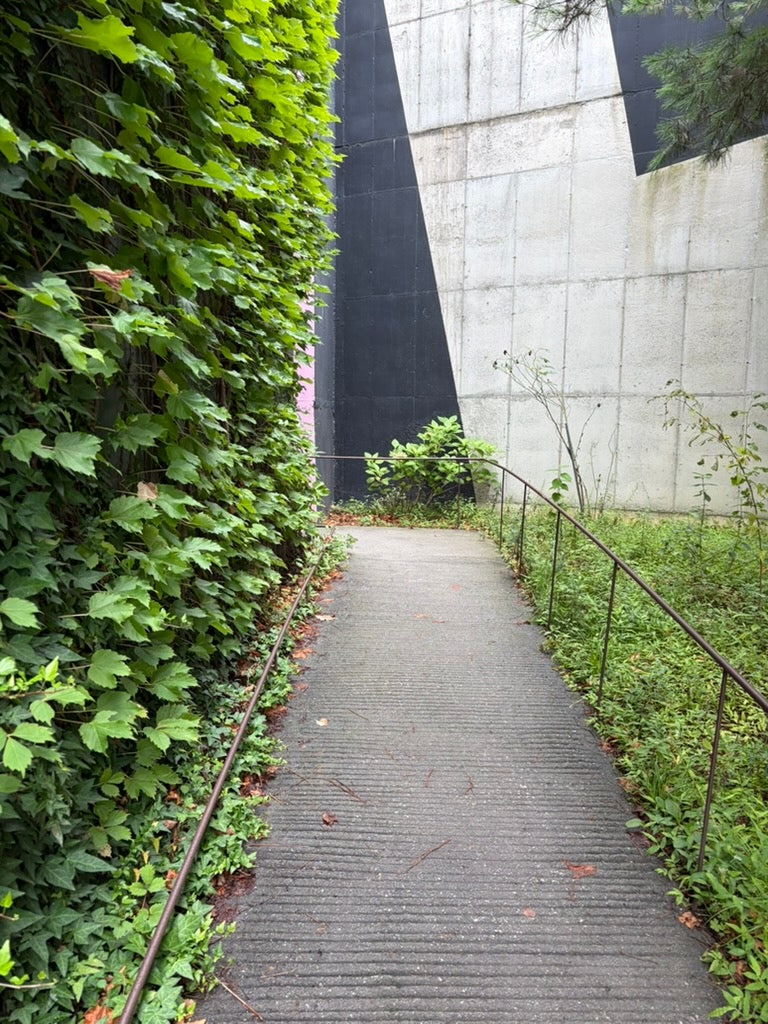 [日常] 江陵咖啡廳推薦：鏡浦湖散步後享受悠閒時光，氛圍絕佳的「Terarosa鏡浦湖畔店」（自費體驗）