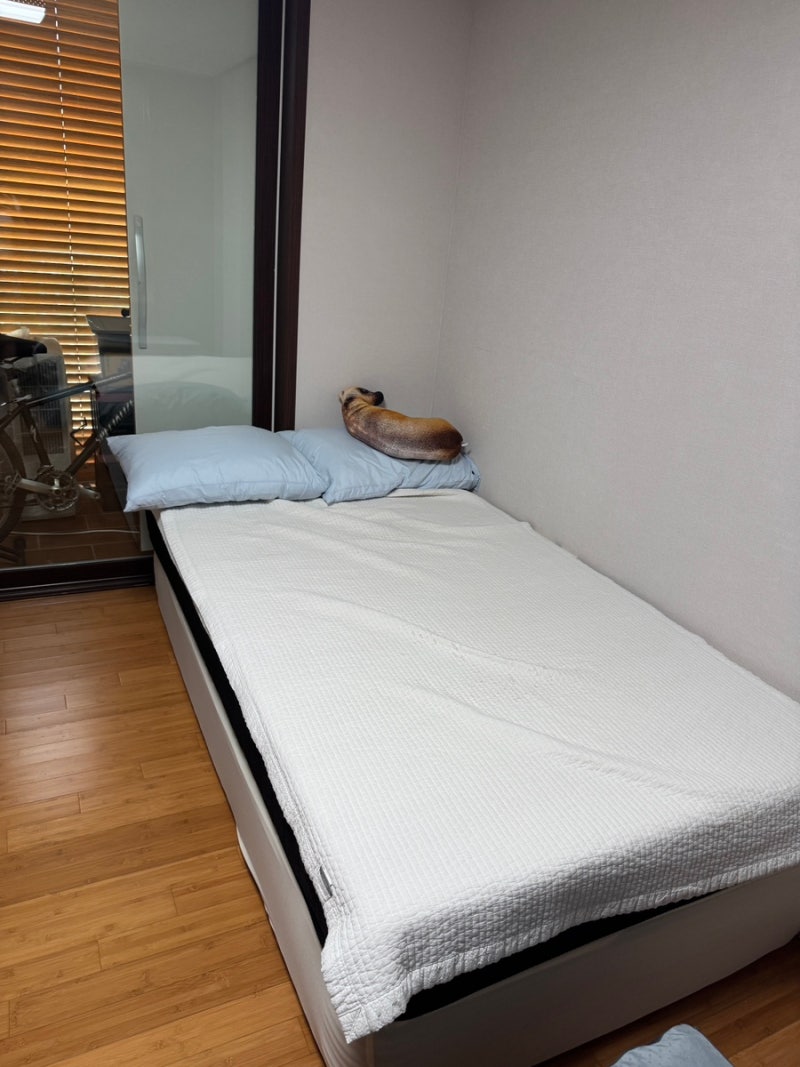 코스트코 매트리스 럭스나인 컴바인폼 SS 한 달 사용 후기