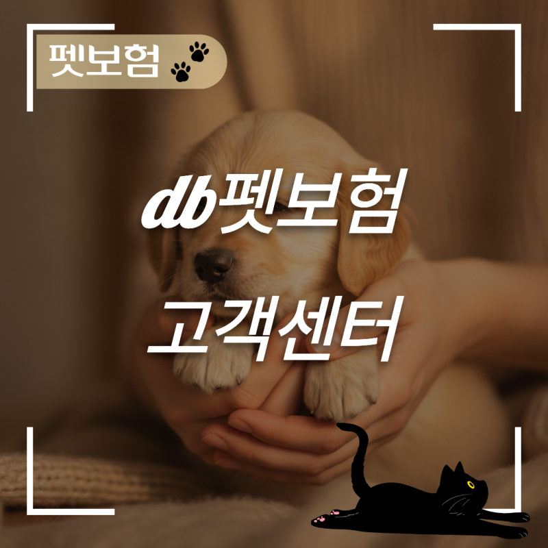 db펫보험 고객센터 전화번호 연결 팁과 운영시간 점검하기