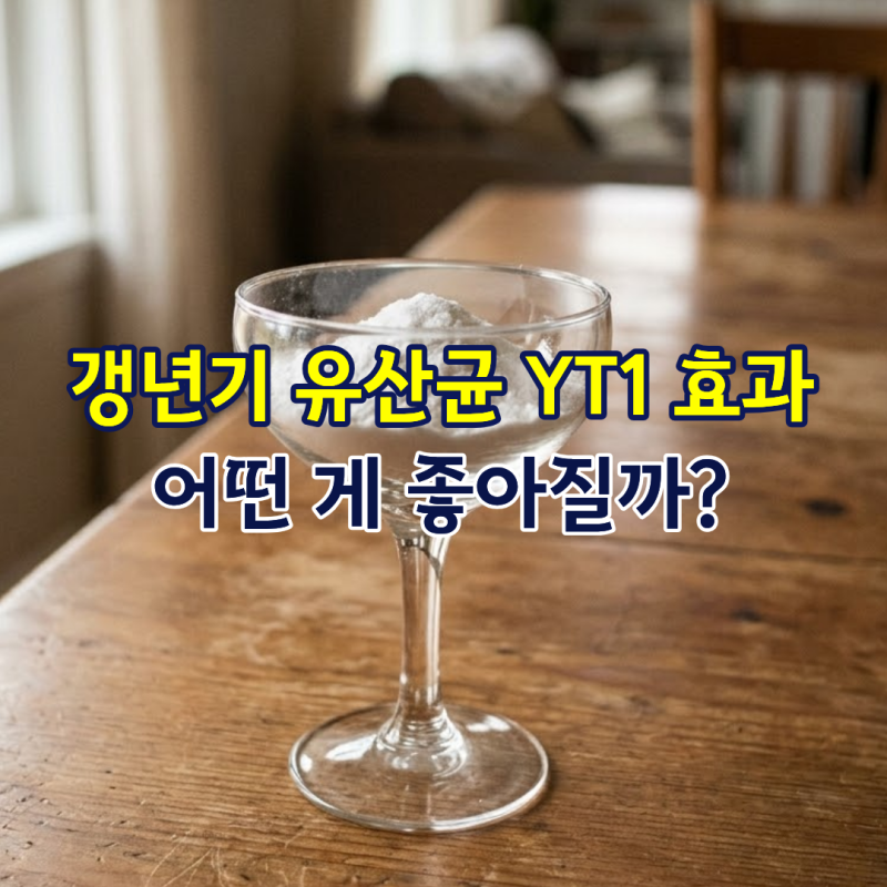 갱년기 유산균 YT1 효과, 어떤 게 좋아질까?