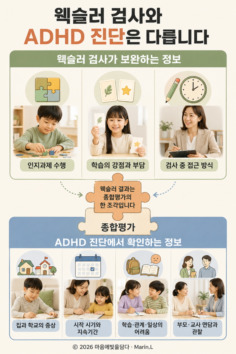 웩슬러 검사로 ADHD를 알 수 있을까? 작업기억·처리속도의 의미[3]
