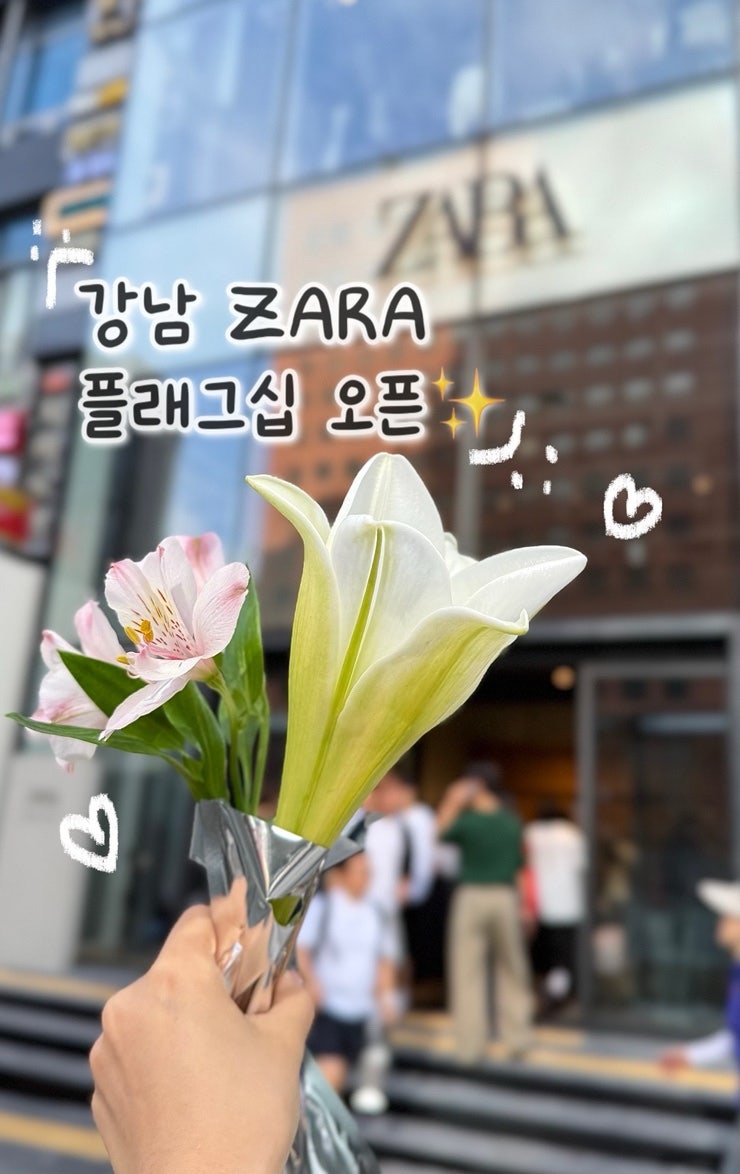[자라 강남 플래그쉽 스토어 오픈 방문후기✨] ZARA 가을신상, 이무기, 지카페까지 모두 돌아....