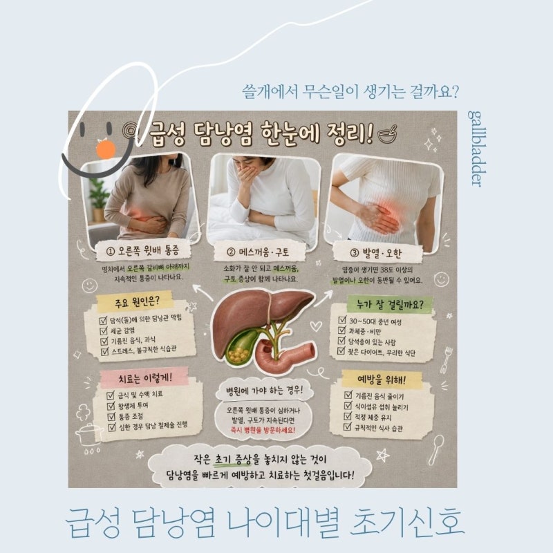 급성 담낭염 어떻게 되는 걸까 나이대별 초기신호 증상 및 대처법