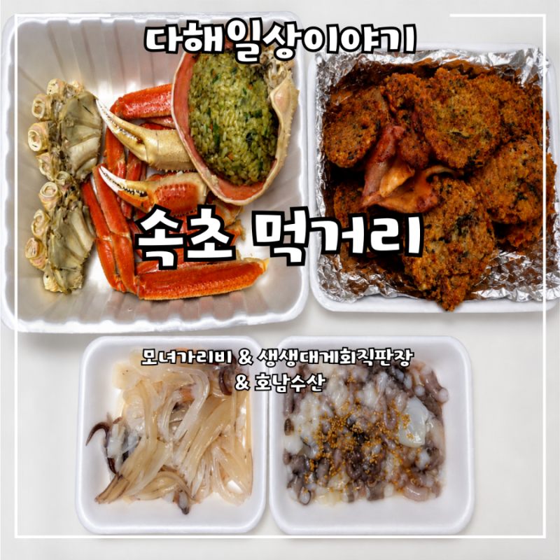 속초 맛집 모녀가리비 누룽지오징어순대 중앙시장 낙지·오징어부터 대게까지