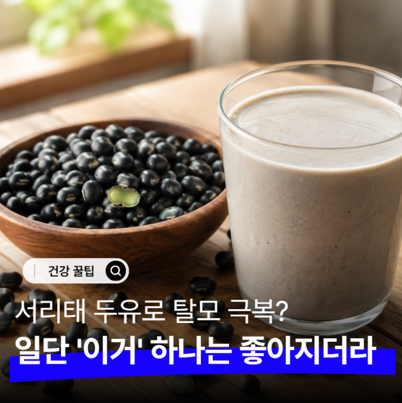 검은콩 서리태 두유 효능, 탈모 때문에 먹기 시작했는데 한 달 후 결과는 상당히 의외
