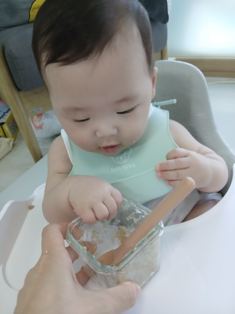아기 알레르기 테스트 추천, 스푼타임 스타트킷 내돈내산 솔직후기