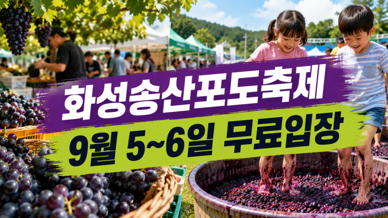 2026 화성송산포도축제 9월 5~6일: 포도판매·포도밟기·무료입장 방문 팁