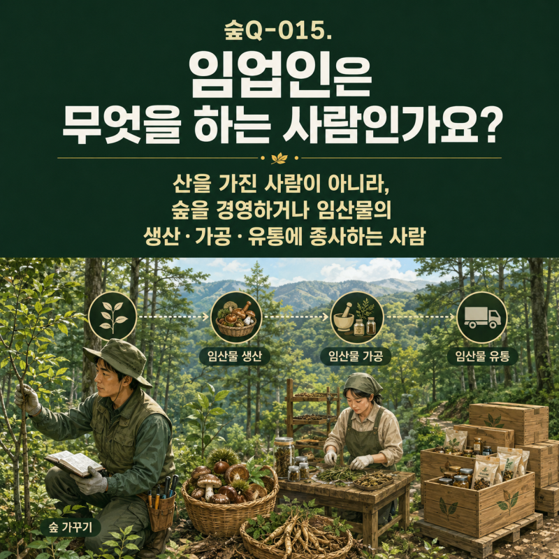 숲Q-015. 임업인은 무엇을 하는 사람인가요?