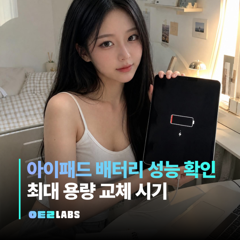아이패드 배터리 성능 확인법 | 최대 용량 교체 시기 정리