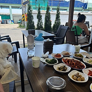 강원도 양양 애견동반 식당 맛집 추천 기사문 백반식당