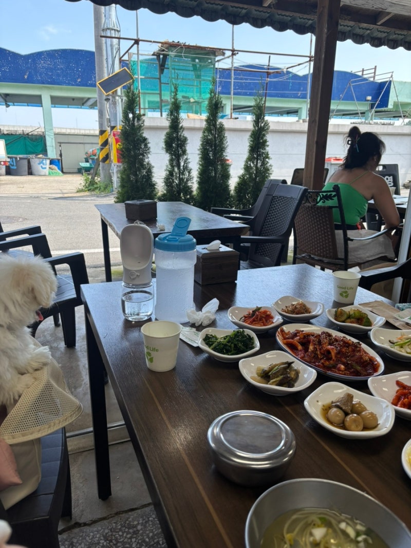 강원도 양양 애견동반 식당 맛집 추천 기사문 백반식당